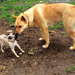 Meet your Posher, Chelsea